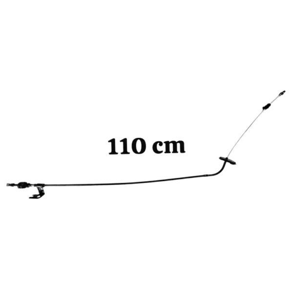img004198