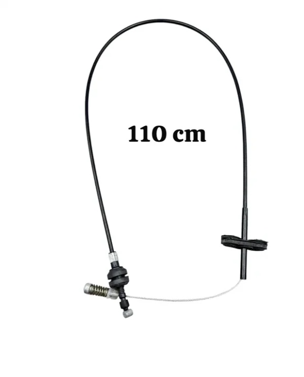 img004203