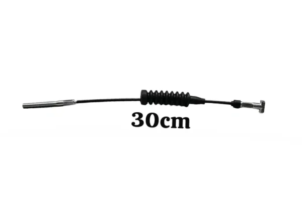 img005423