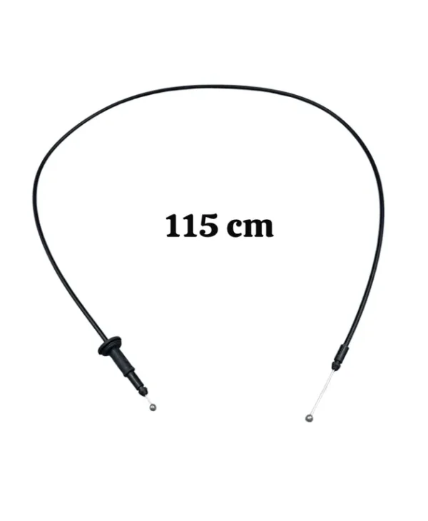 img010260