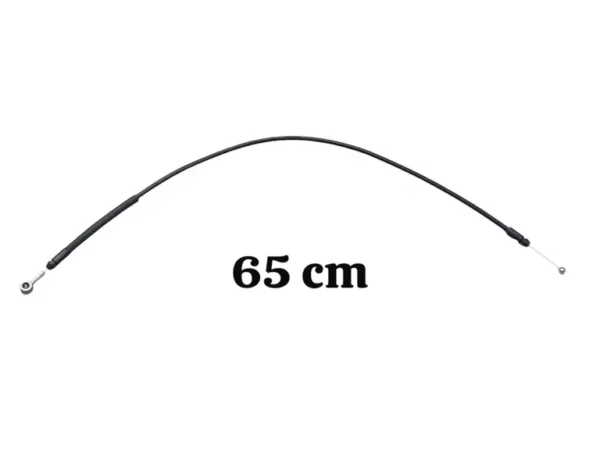 img010261