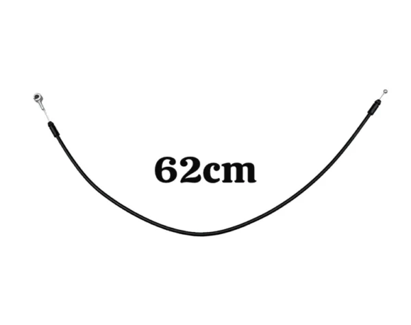 img010274