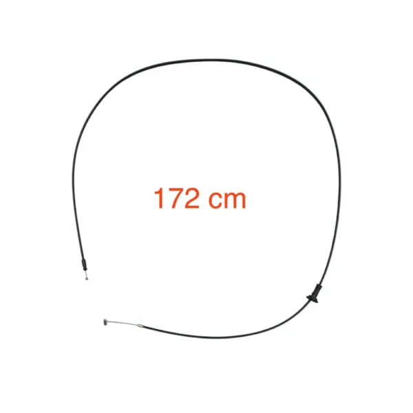 img010277