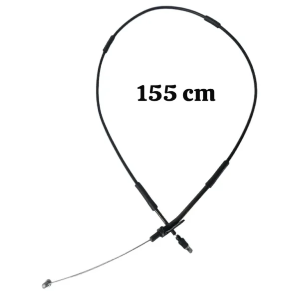 img013502