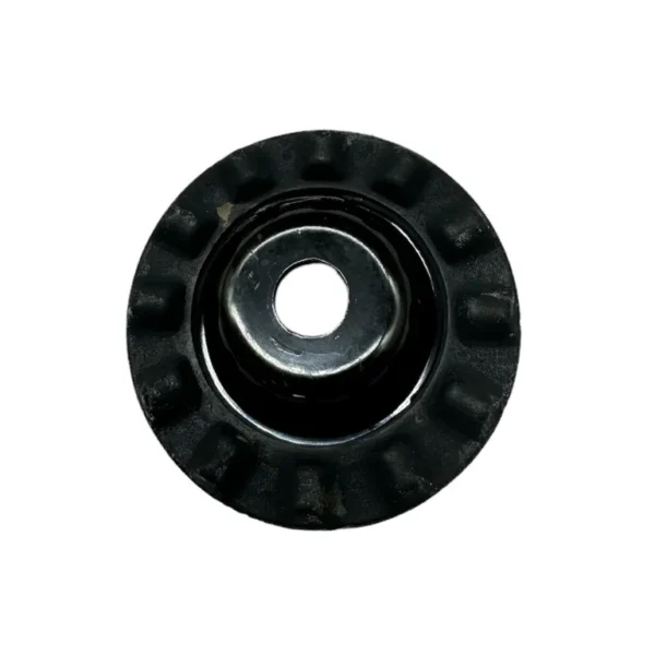 img007297