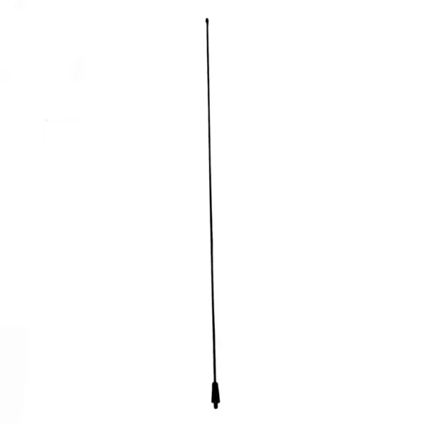 img019902