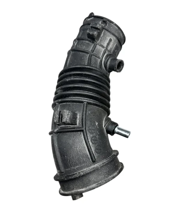 img003667