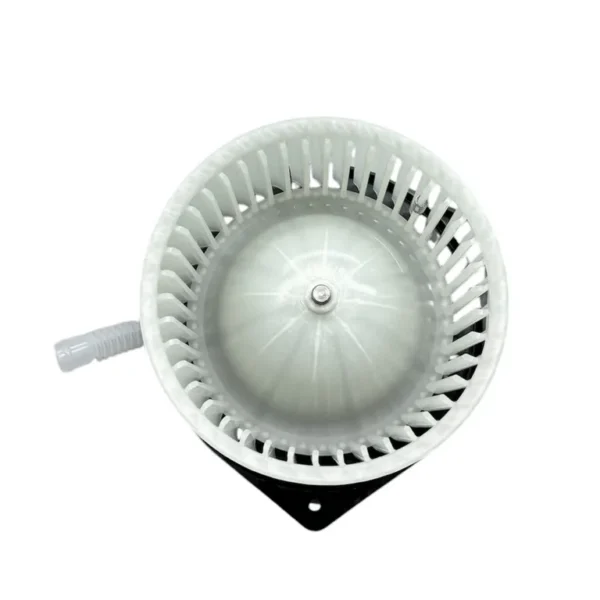 img028988